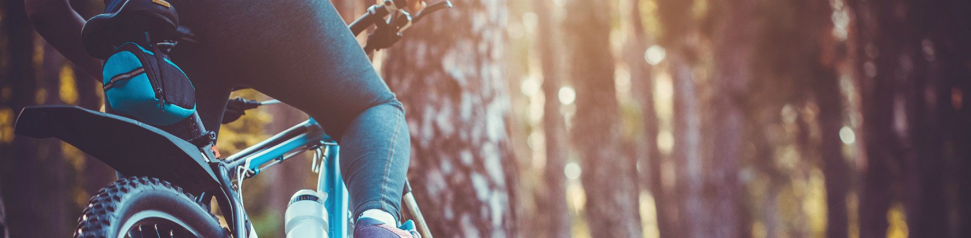 online fietsspatborden